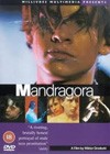 Mandragora (1997).jpg